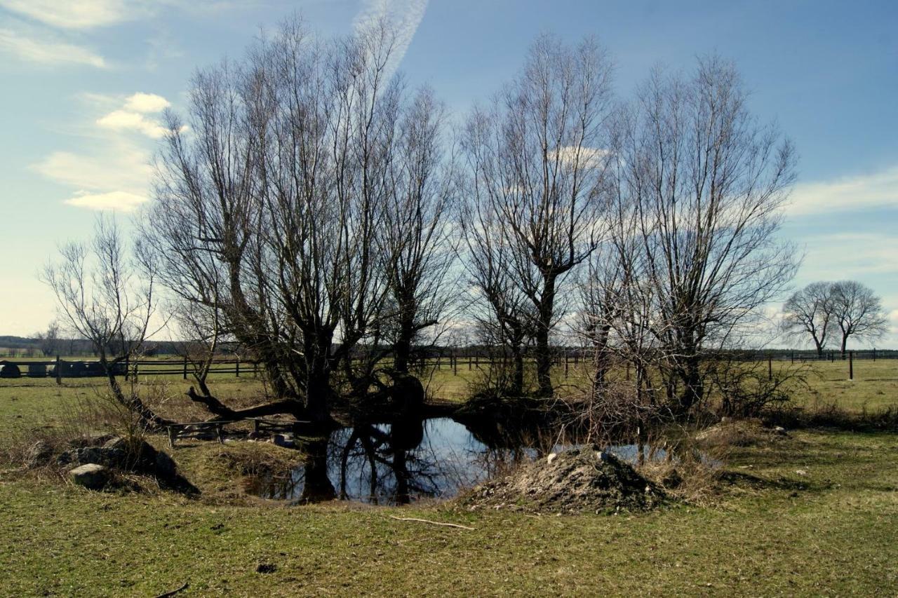 Agroturystyka Stajnia Rusinowo Tuczno Exterior photo